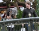 Filename=3983403_preview.jpg
Filesize=54KB
Dimensions=600x480
Date added=Feb 12, 2009 3983403_preview.jpg