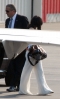 zanessa-plane-748-11.jpg