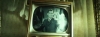 capture491.jpg