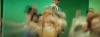 capture560.jpg