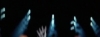 capture1088.jpg
