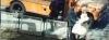 capture1315.jpg