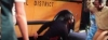 capture2762.jpg