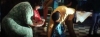 capture3061.jpg