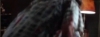 capture3745.jpg