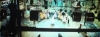 capture5344.jpg