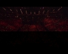 capture014.jpg