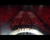 capture260.jpg