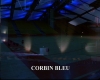 capture037.jpg