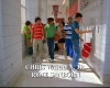 capture315.jpg