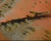 capture612.jpg