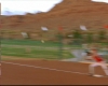 capture1245.jpg