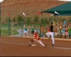 capture1246.jpg