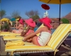 capture828.jpg