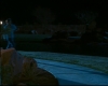capture2219.jpg