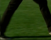 capture2433.jpg