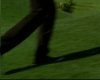 capture2434.jpg