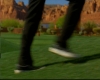 capture2435.jpg