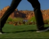 capture2436.jpg