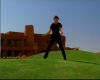capture2462.jpg
