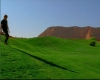 capture2467.jpg