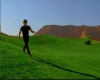 capture2468.jpg