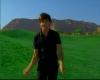 capture2473.jpg