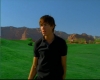 capture2479.jpg