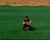 capture2486.jpg