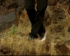 capture2498.jpg