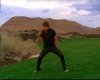 capture2538.jpg