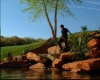 capture2563.jpg