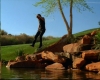 capture2564.jpg
