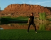 capture2597.jpg