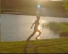 capture2615.jpg