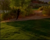 capture2617.jpg