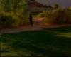 capture2618.jpg