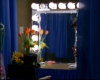 capture2931.jpg