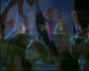 capture3343.jpg