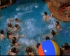 capture3681.jpg