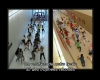 capture234.jpg