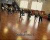 capture1133.jpg
