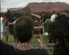 capture1563.jpg