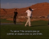 capture1678.jpg