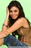 Filename=23990800.jpg
Filesize=46KB
Dimensions=333x512
Date added=May 15, 2008 23990800.jpg